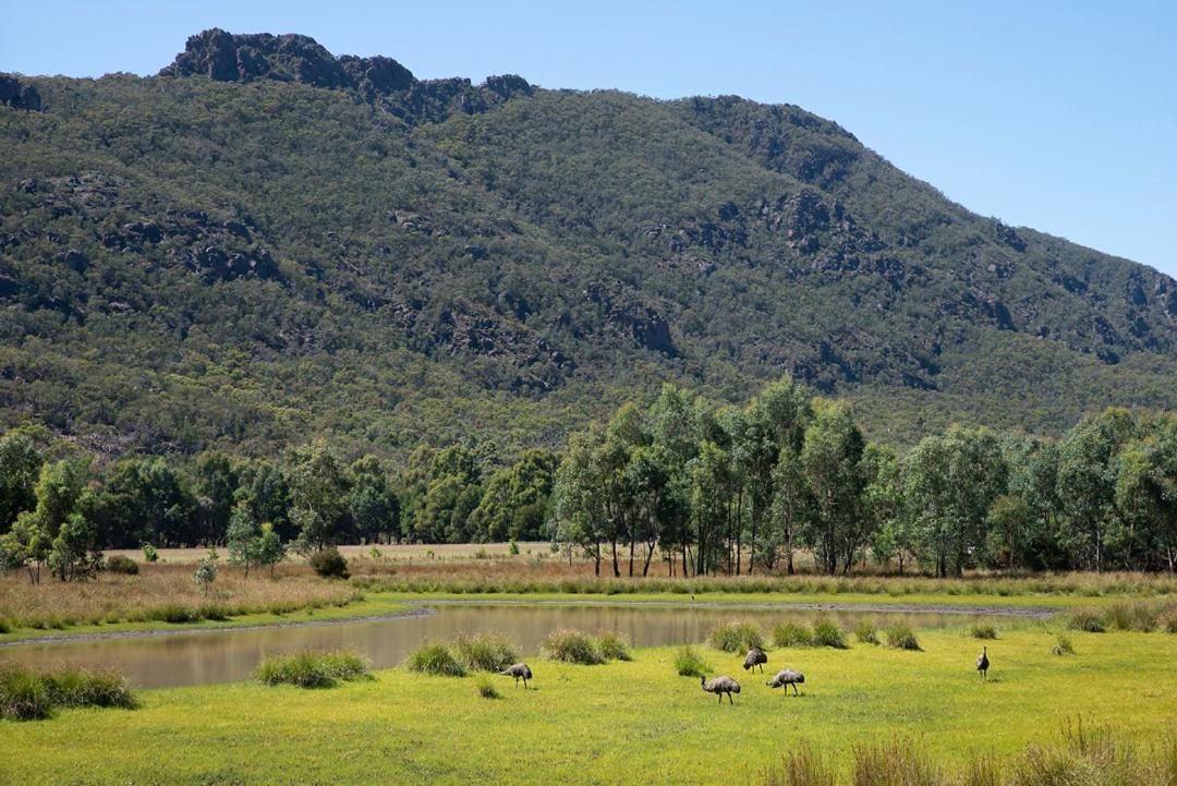 Halls Gap Motel Zewnętrze zdjęcie