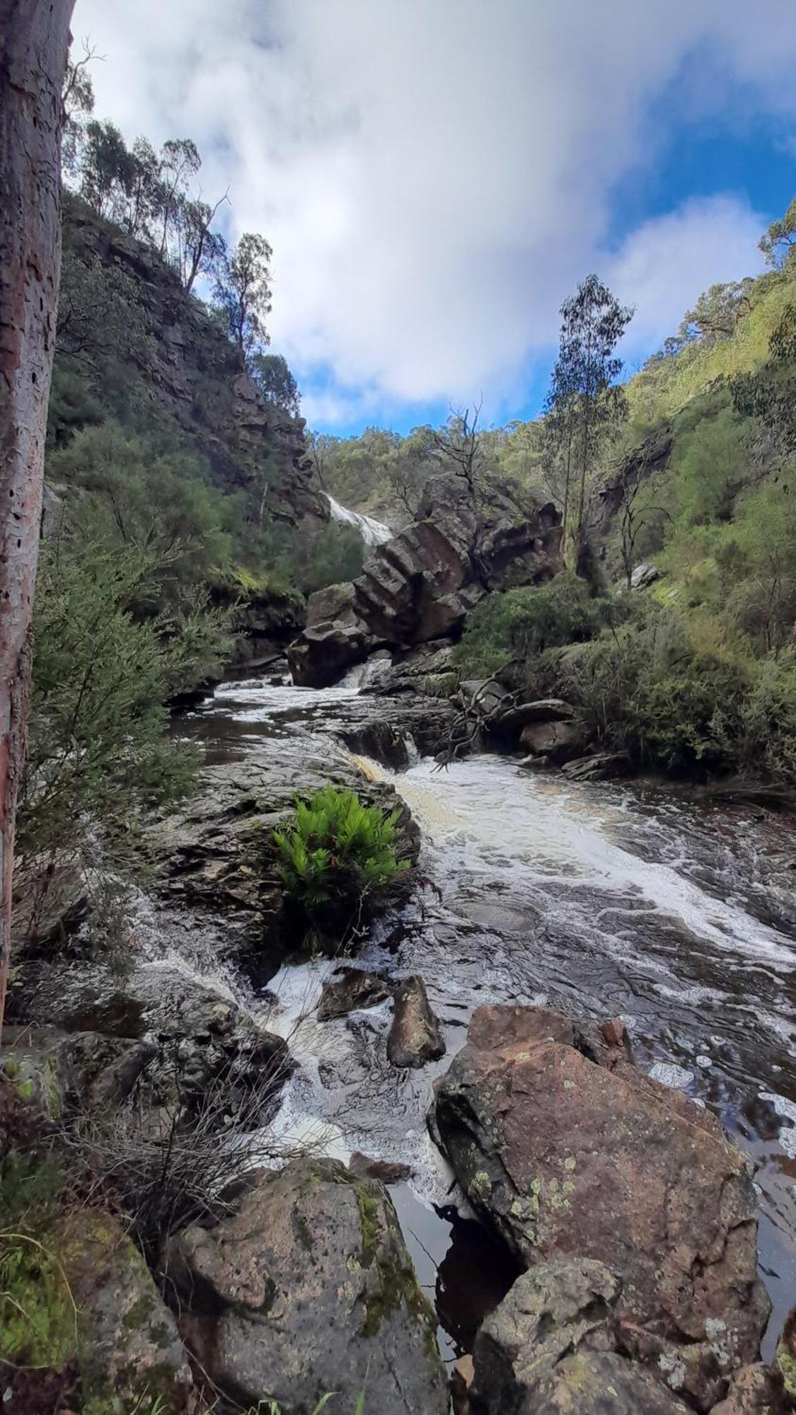 Halls Gap Motel Zewnętrze zdjęcie