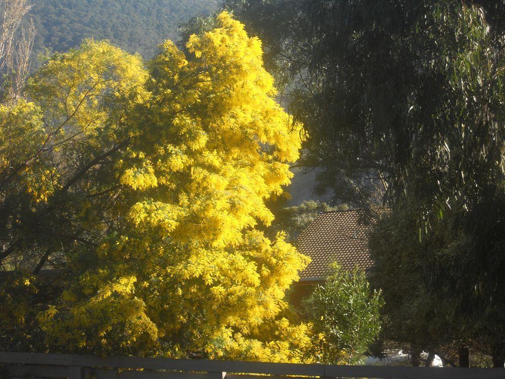 Halls Gap Motel Zewnętrze zdjęcie