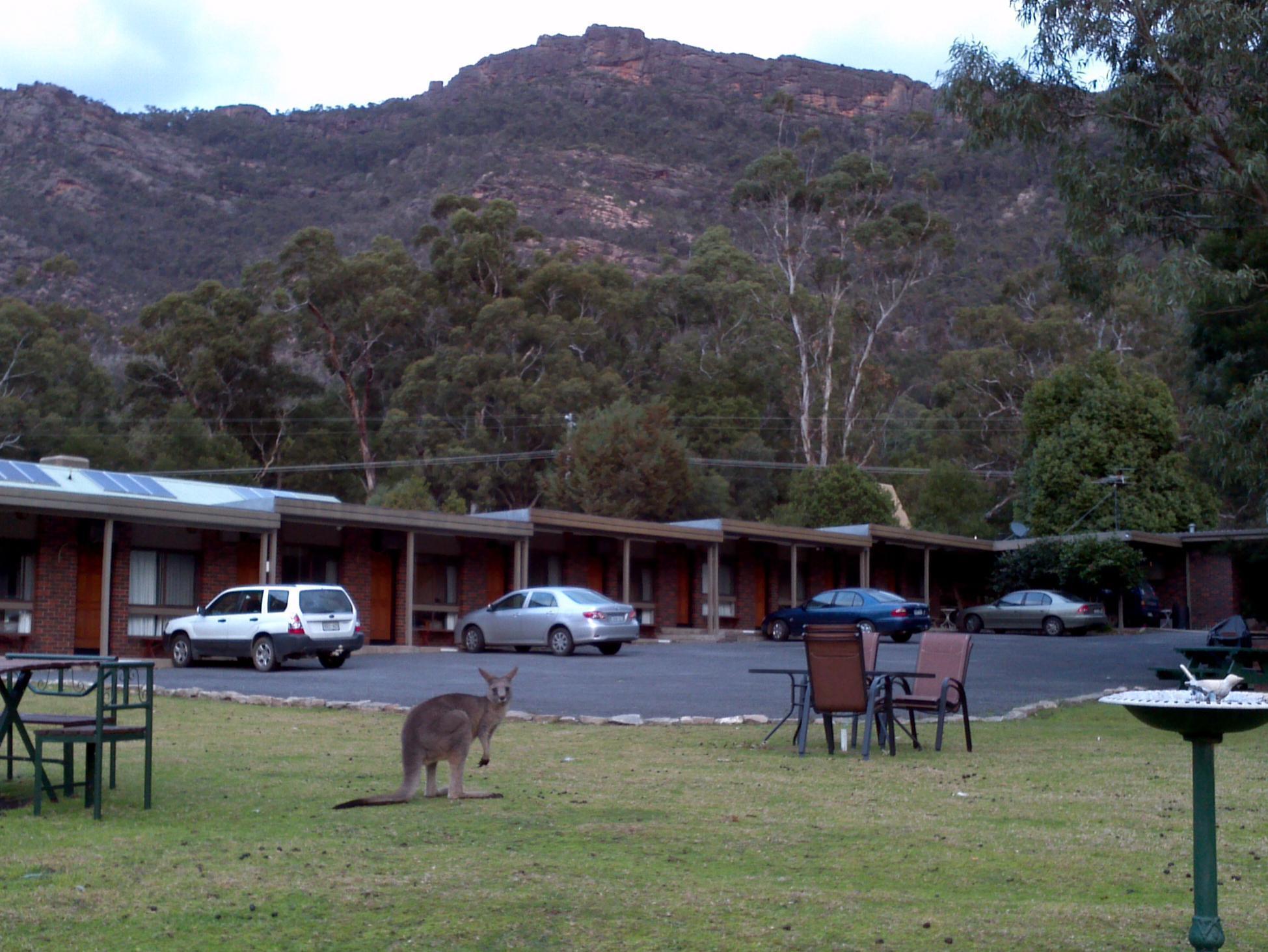 Halls Gap Motel Zewnętrze zdjęcie