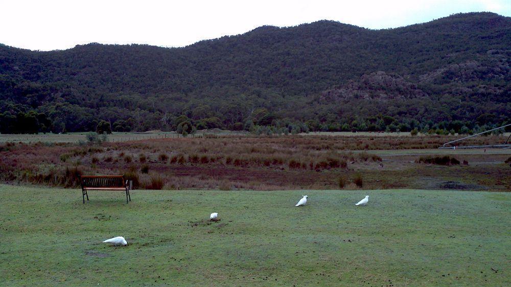 Halls Gap Motel Zewnętrze zdjęcie