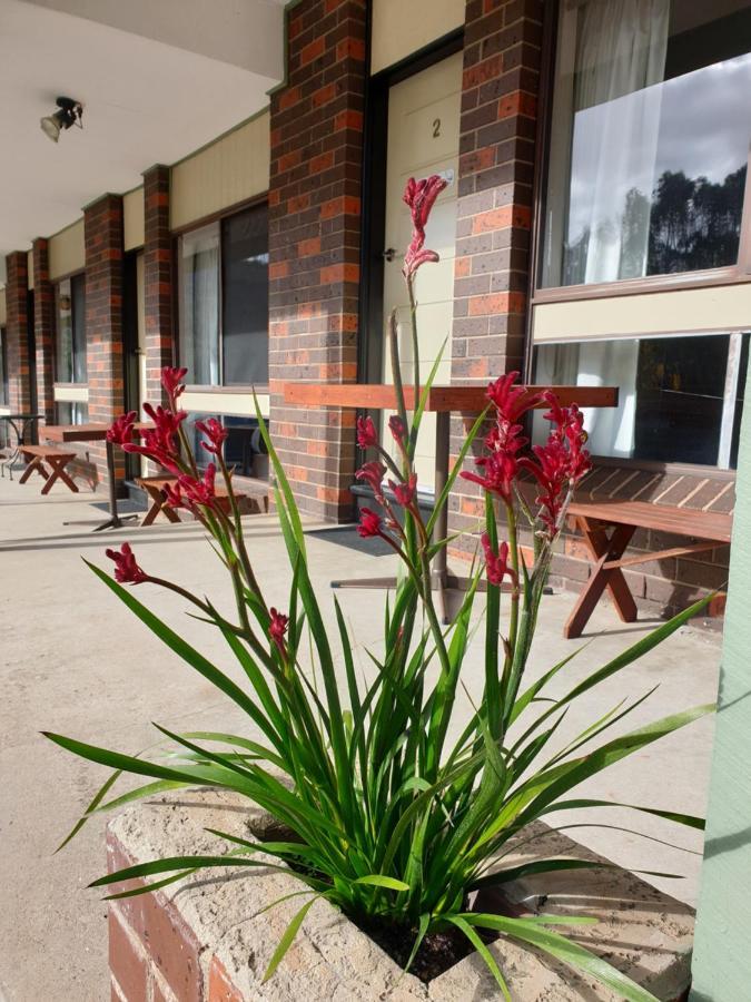 Halls Gap Motel Zewnętrze zdjęcie